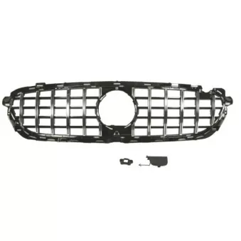 Grille de radiateur BLIC 6502-07-3531997P