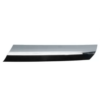 Baguette et bande protectrice, grille de radiateur BLIC 6502-07-3547993CP