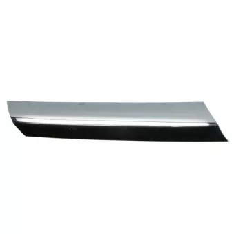Baguette et bande protectrice, grille de radiateur BLIC 6502-07-3547994CP