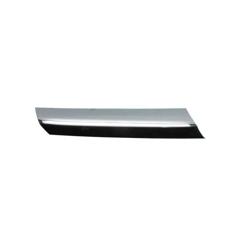 Baguette et bande protectrice, grille de radiateur BLIC 6502-07-3547994CP