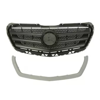 Grille de radiateur BLIC 6502-07-3548992P