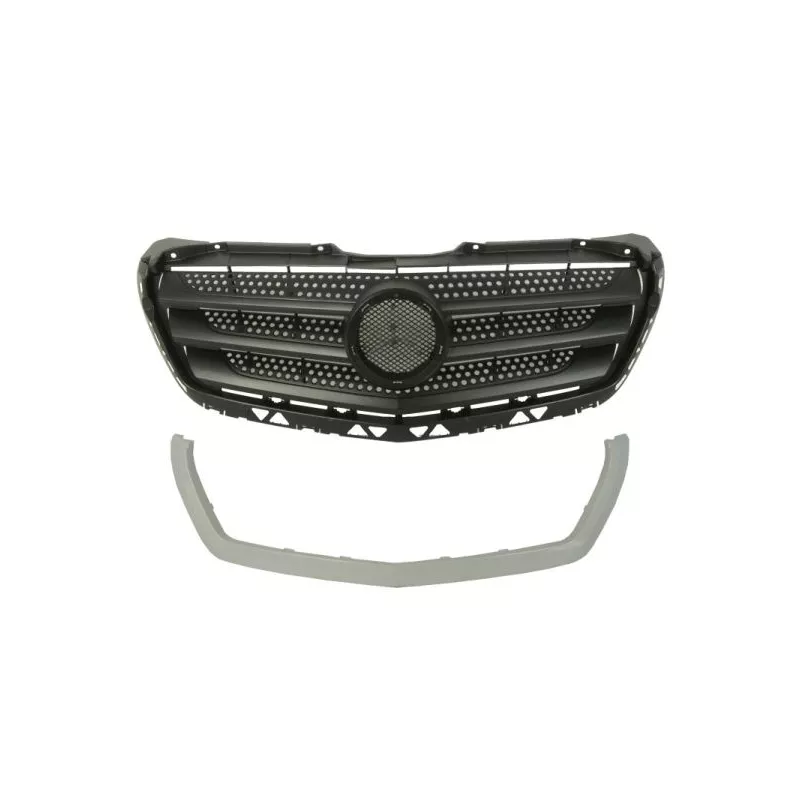 Grille de radiateur BLIC 6502-07-3548992P