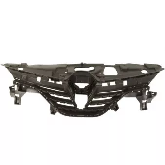 Grille de radiateur BLIC 6502-07-6001990P