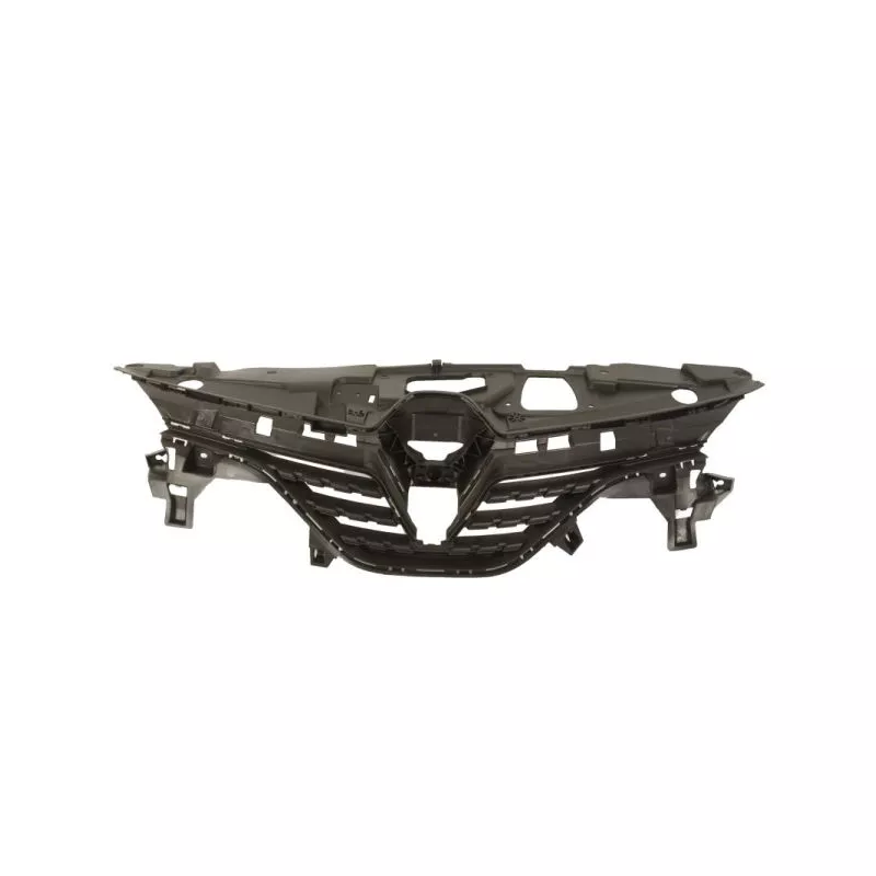 Grille de radiateur BLIC 6502-07-6001990P