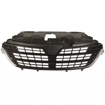 Grille de radiateur BLIC 6502-07-6063994P