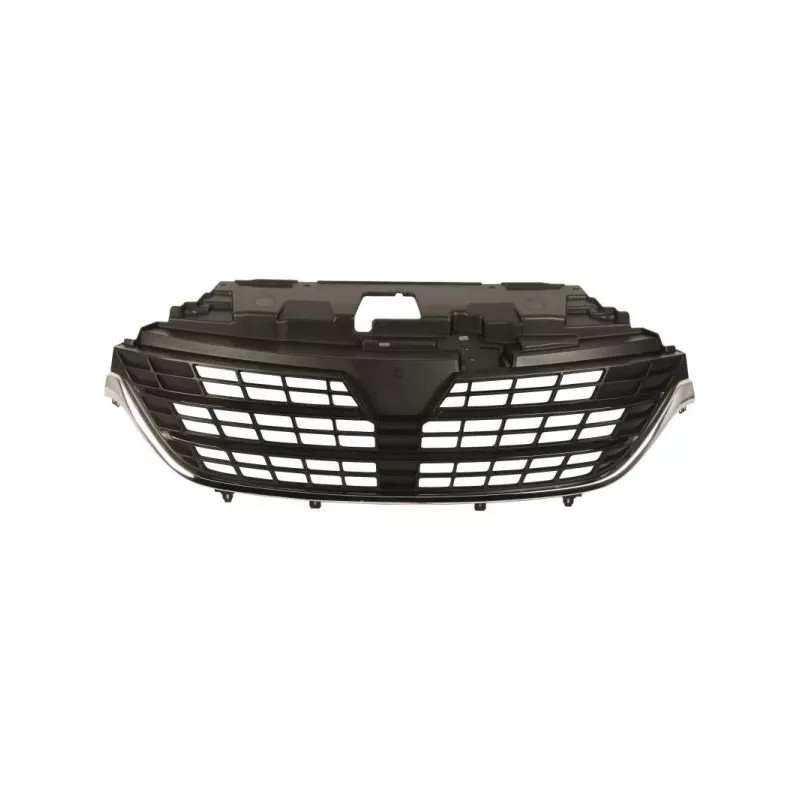 Grille de radiateur BLIC 6502-07-6063994P