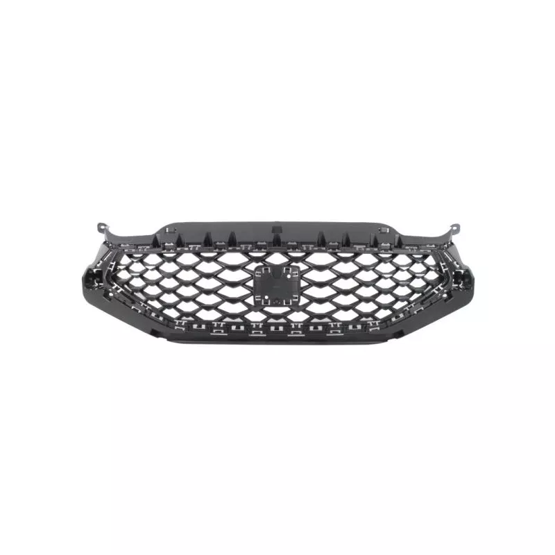 Grille de radiateur BLIC 6502-07-6626992P