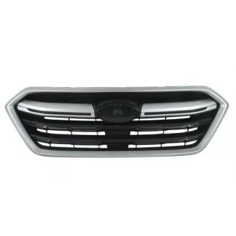 Grille de radiateur BLIC 6502-07-6716992Q