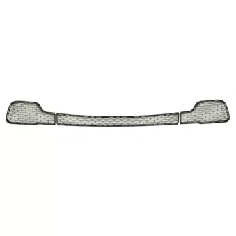Grille de radiateur avant gauche BLIC 6502-07-6901990P
