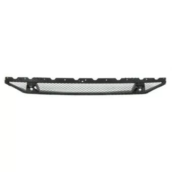 Grille de radiateur avant gauche BLIC 6502-07-6901990SP
