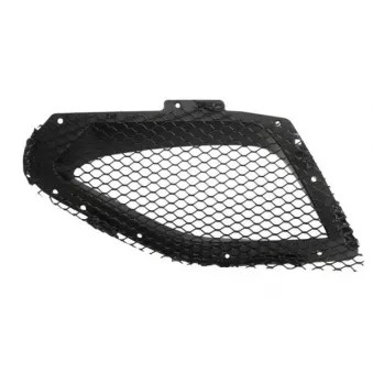 Grille de radiateur avant gauche BLIC 6502-07-6901991SP