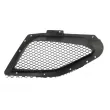 Grille de radiateur avant gauche BLIC 6502-07-6901991SP - Visuel 2