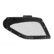 Grille de radiateur BLIC 6502-07-6901992SP - Visuel 1
