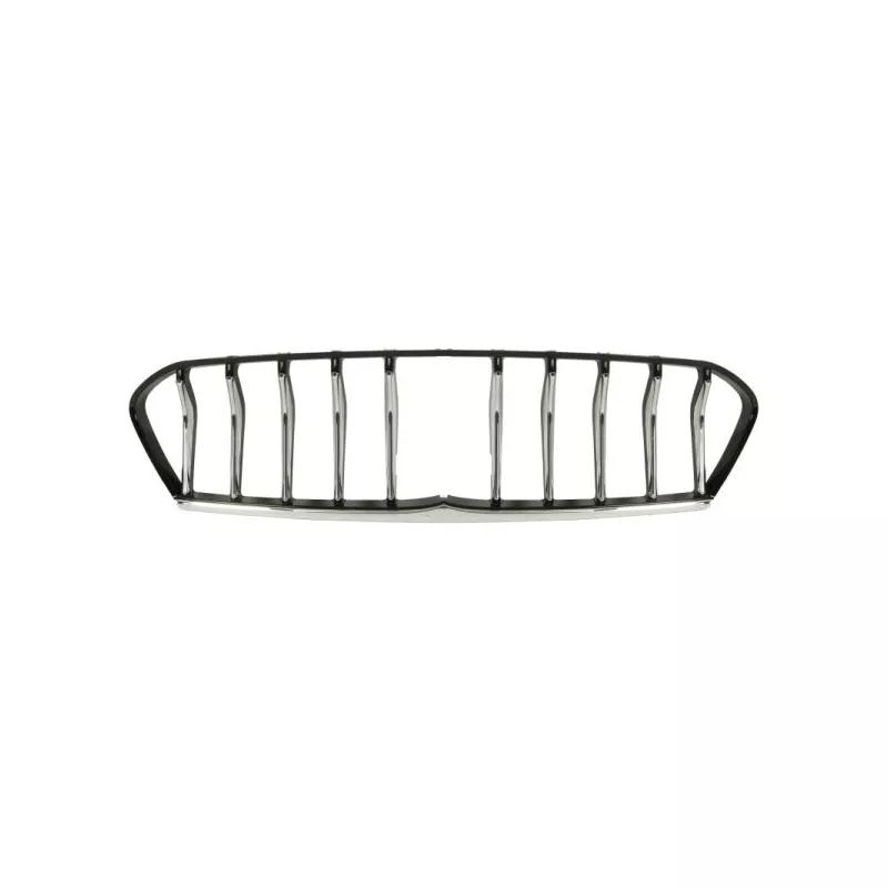 Grille de radiateur BLIC 6502-07-6901993SP