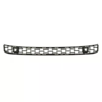 Grille de radiateur avant gauche BLIC 6502-07-6901995P