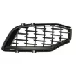 Grille de radiateur BLIC 6502-07-6901996P - Visuel 1