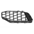 Grille de radiateur BLIC 6502-07-6901996P - Visuel 2