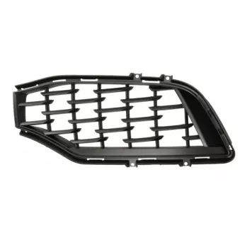 Grille de radiateur avant gauche BLIC 6502-07-6901997P