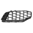 Grille de radiateur avant gauche BLIC 6502-07-6901997P - Visuel 2