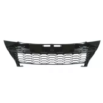 Grille de radiateur BLIC 6502-07-8156992P