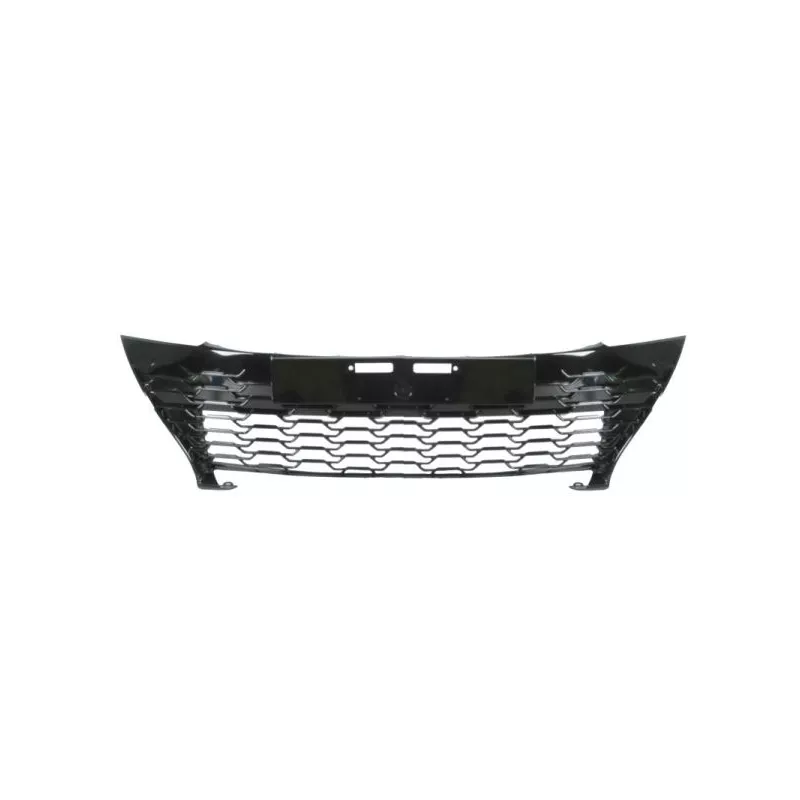 Grille de radiateur BLIC 6502-07-8156992P