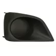Grille de ventilation, pare-chocs avant gauche BLIC 6502-07-8157917P - Visuel 1