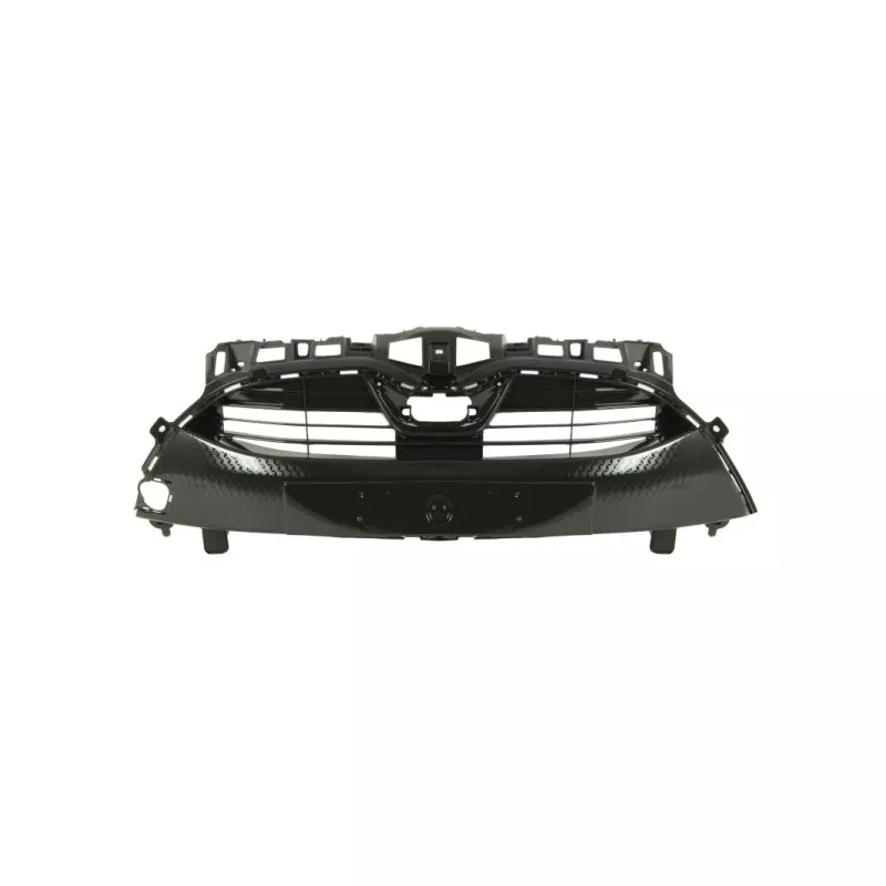 Grille de radiateur BLIC 6502-07-8158990P
