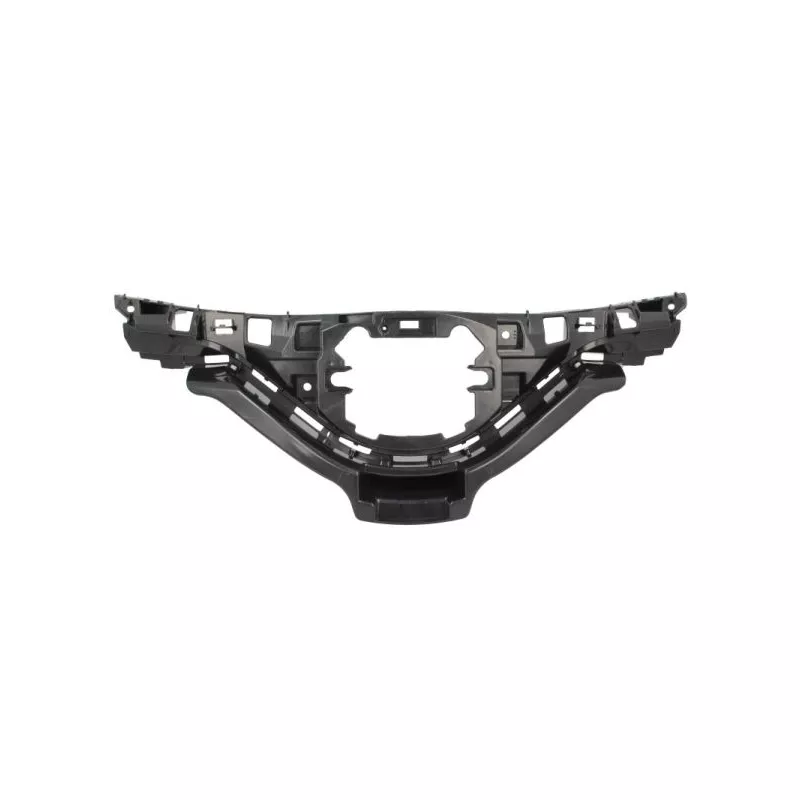 Grille de radiateur BLIC 6502-07-8182991PP