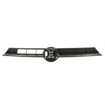 Grille de radiateur BLIC 6502-07-9509990P