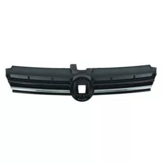 Grille de radiateur BLIC 6502-07-9550998PP