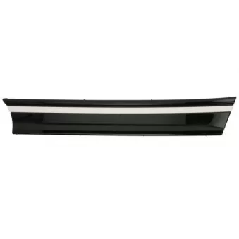 Grille de radiateur avant droit BLIC 6502-07-9584994P