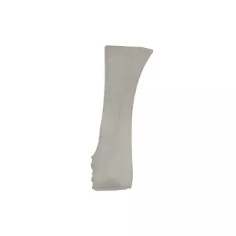 Doublure d'aile avant droit BLIC 6504-03-8109332P