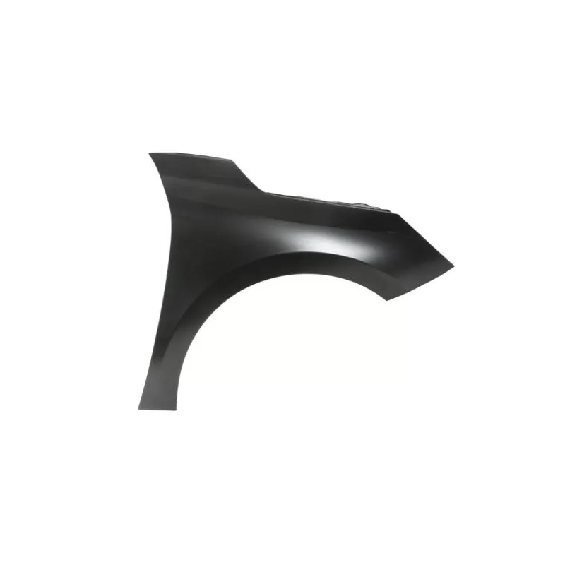 Aile avant droit BLIC 6504-04-5028312Q