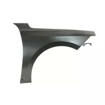 Aile avant droit BLIC