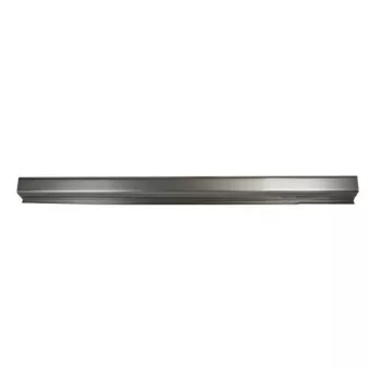 Plaque de seuil avant gauche BLIC 6505-06-0557015P