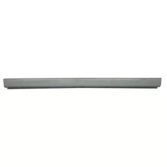 Plaque de seuil BLIC 6505-06-2024010P