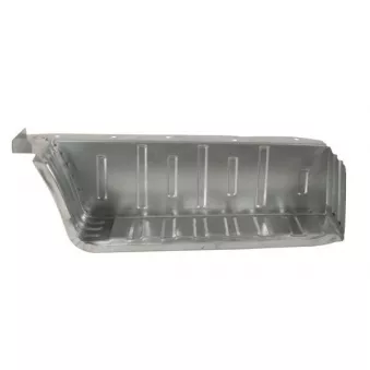 Marchepied BLIC 6505-06-2509055K