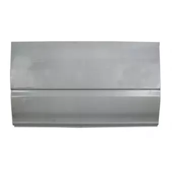 Panneau latéral BLIC 6505-06-2509100P