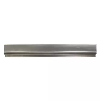 Panneau latéral BLIC 6505-06-2509104P