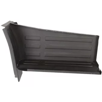 Marchepied avant gauche BLIC 6505-06-3080055P