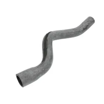 Durite de radiateur THERMOTEC DWC061TT