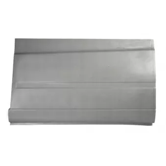 Panneau latéral BLIC 6505-06-3541013P