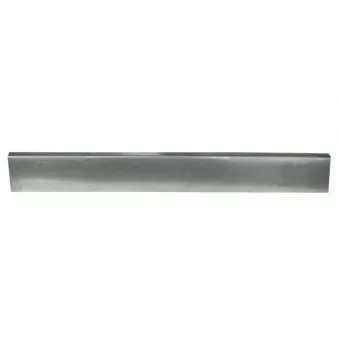 Panneau latéral BLIC 6505-06-3545001K