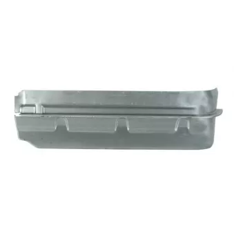 Marchepied avant droit BLIC 6505-06-3546054P
