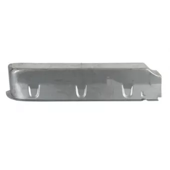 Marchepied avant droit BLIC 6505-06-3546056P