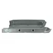 Marchepied avant droit BLIC 6505-06-3546060P - Visuel 1