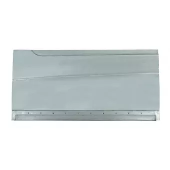 Panneau latéral BLIC 6505-06-3548017P