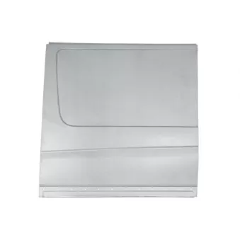 Panneau latéral BLIC 6505-06-3548018P