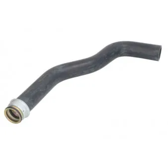 Durite de radiateur THERMOTEC DWC104TT