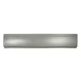 Panneau latéral BLIC 6505-06-6089001P
